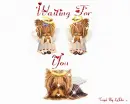 yorkies
