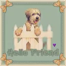 HELLO FRIEND