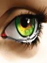 eye