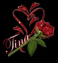 TINA