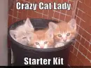 cat lady