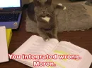 moron 