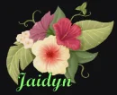JAIDYN