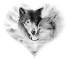 WOLF IN LOVE