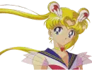 sailor moon 