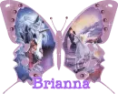 brianna's pink unicorn butterfly