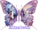 elizabeth's pink unicorn butterfly 