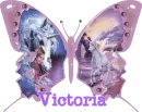 victoria's pink unicorn butterfly 