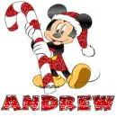 ANDREW