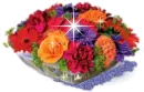 pretty flowers