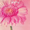 pink flower