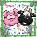 So hows it going