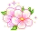 pink tiny flowers