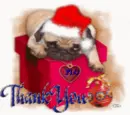 Thank You Pug