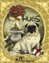 Pug Hugs