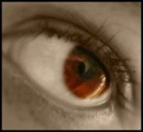eye