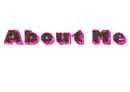 About Me Pink N Camo
