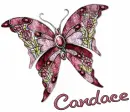 Candace