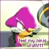 ninja 