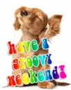 Have a Groovy Weekend