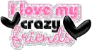 I Love My Crazy Friends