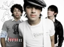 jonas brothers