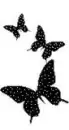 black butterflies