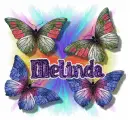Melinda butterflies