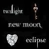 twilight saga