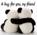 best friends