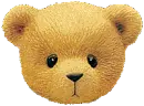 teddy