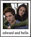 edward and bella