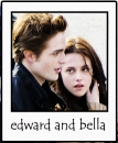 edward and bella