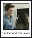 edward and bella