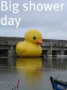 shower day