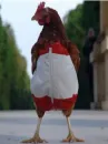 funky hen