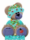 Lady bug bear with Maggie name