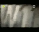 w11 - rafaÅ‚ kopacz - rafaÅ‚ek - wydziaÅ‚ Å›ledczy