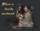 Lovely Weekend