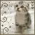 KITTEN