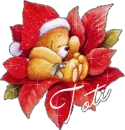 Toti