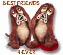 TWO DOGS