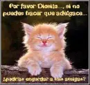 amigas