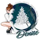 DENISE Snow RV