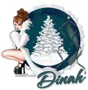 DINAH Snow RV