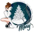 MARY Snow RV