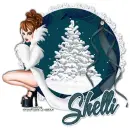 SHELLI Snow RV
