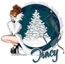 TRACY Snow RV