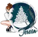 TERESA Snow RV