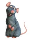 Ratatoui
